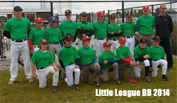 little league 2014
